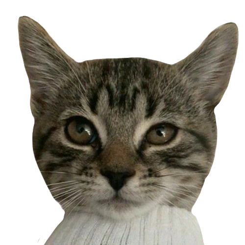 seamoretheseal
